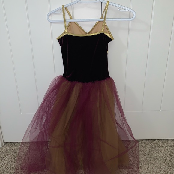 Dance Costume - Picture 3 of 3